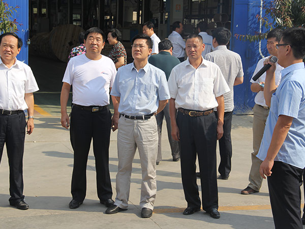 邢台市市长孟祥伟到利记线缆集团视察