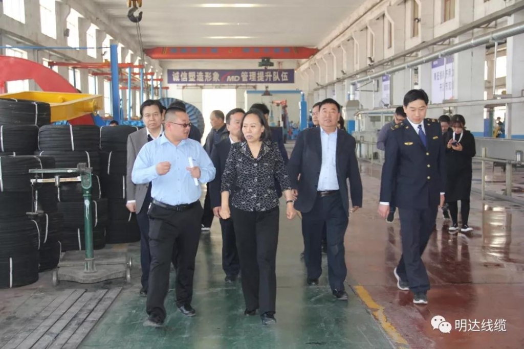 河北省市场羁系局党组书记丁锦霞莅临利记考察调研