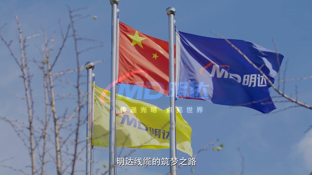 利记宣传片-河北电视台2020年录制